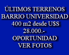 bertolino001001.jpg