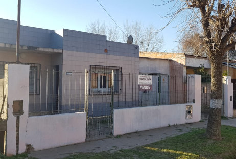 bertolino0090157.jpg