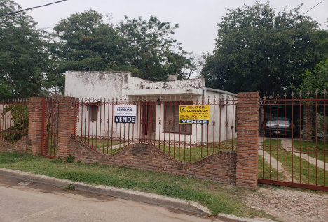 bertolino0090185.jpg