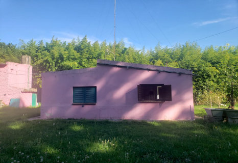 bertolino0090187.jpg