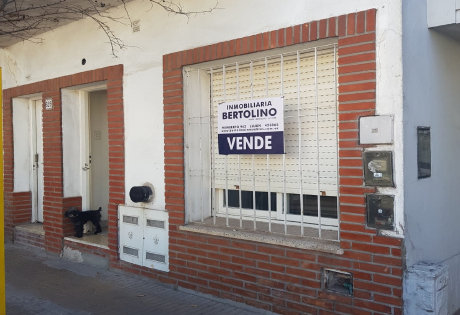 bertolino009042.jpg