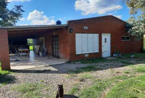 bertolino009092.jpg