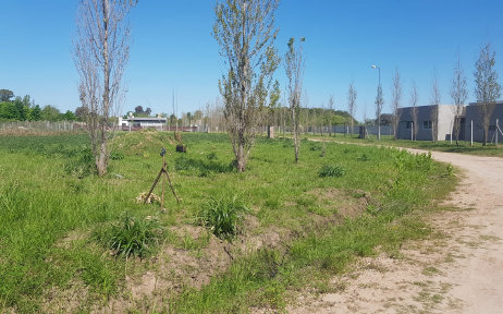 bertolino010009.jpg