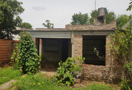 bertolino0100130.jpg