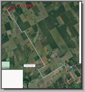 bertolino117003.jpg